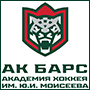 <strong>Новости «Академии хоккея Ак Барс» им. Ю.И.Моисеева 6+</strong><br><font size="2px"color="#97999b">Реклама. akbars.academy </font>