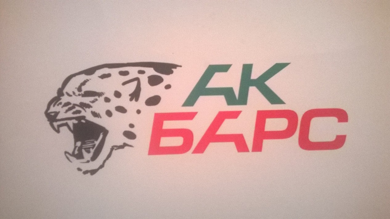 Ак барс name. АК Барс эмблема. Новый логотип АК Барса. Логотип АК Барс хоккей. Логотип АК Барс хоккей новый.