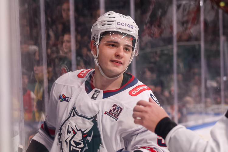 «Нефтехимик» победил «Торпедо» и приблизился к «Трактору» в таблице 