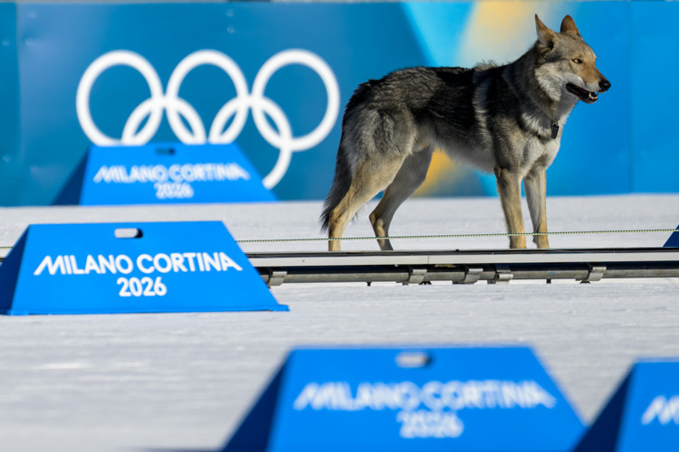 Вспомним Олимпиаду в 28 кадрах: единственная медаль России, доминатор-Клэбо, провал Малинина